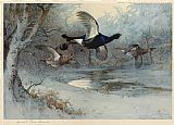 Blackcock Through the Silver Birches